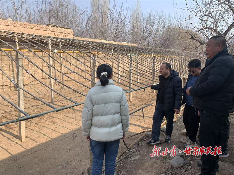 微信圖片_20250221173758