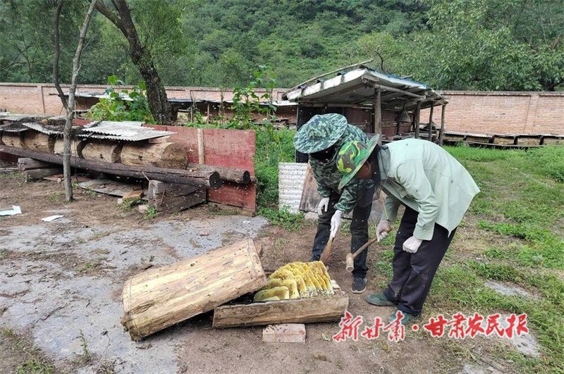 1759999817573165.jpg 4aaa79931d634cea97ff7668031c6219.jpg