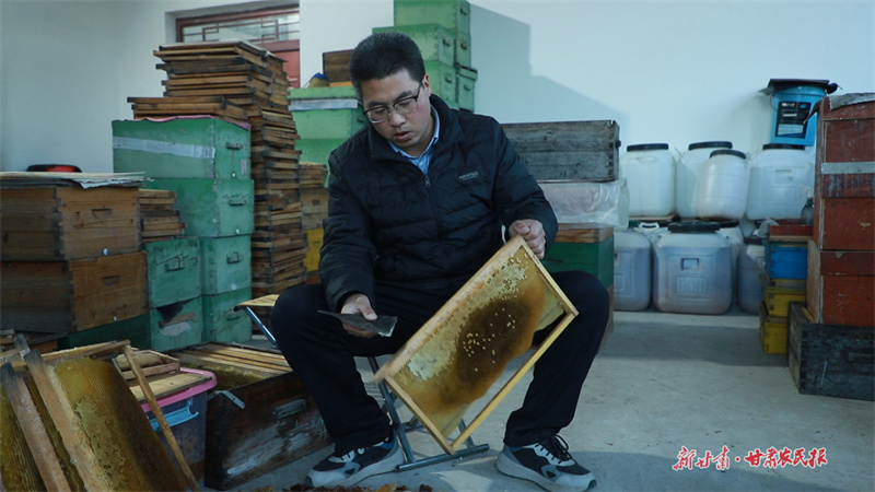 王彥奇正在手工割蜜。 邵娟青 攝
