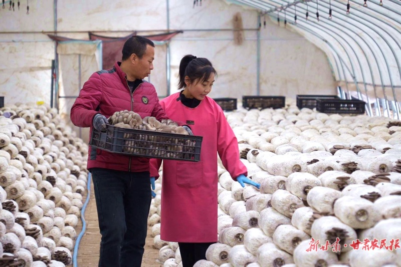 1766025322605095.jpg 微信圖片_20251217154550_140_102.jpg