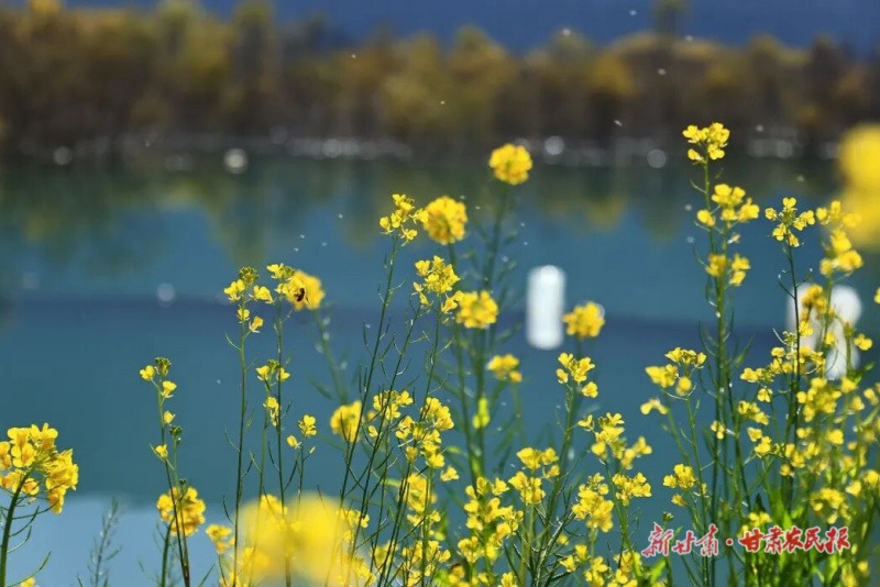 1767062900341243.jpg 微信圖片_20251230104316_188_28.jpg